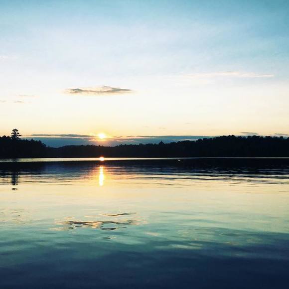 Meet your Posher, Carolyn - Picture 1 of 1